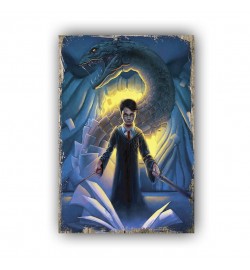 HARRY POTTER 54 AHŞAP POSTER 20x30cm  - 20