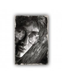 HARRY POTTER 51 AHŞAP POSTER 20x30cm  - 07