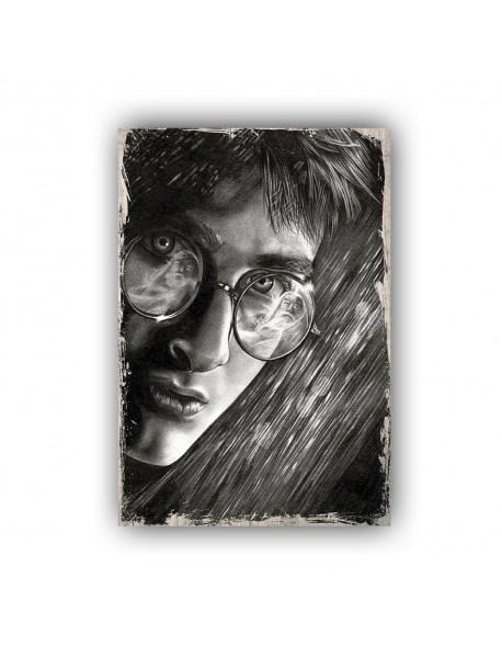 HARRY POTTER 51 AHŞAP POSTER 20x30cm  - 07