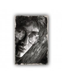 HARRY POTTER 53 AHŞAP POSTER 20x30cm  - 05