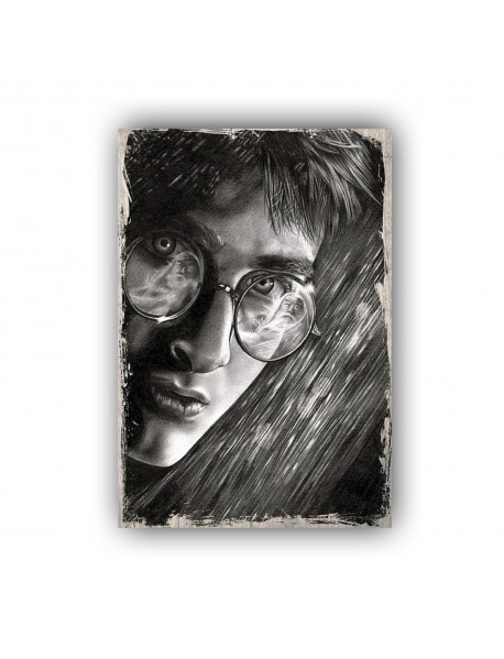 HARRY POTTER 53 AHŞAP POSTER 20x30cm  - 05