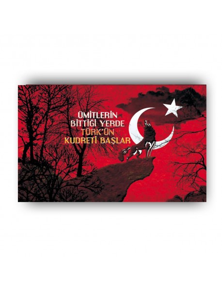 ÜMİTLERİN BİTTİĞİ YERDE TÜRK'ÜN KUDRETİ BAŞLAR AHŞAP POSTER 20x30cm  - 92