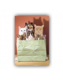 CAT BOXES AHŞAP POSTER 20x30cm  - 59