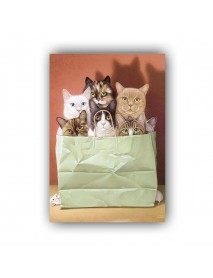 CAT BOX AHŞAP POSTER 20x30cm  - 96