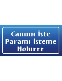 CANIMI İSTE PARAMI İSTEME NOLURRR AHŞAP PLAKA POSTER - 17