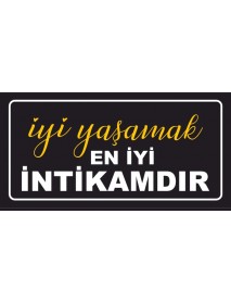 İYİ YAŞAMAK EN İYİ İNTİKAMDIR AHŞAP PLAKA POSTER - 25