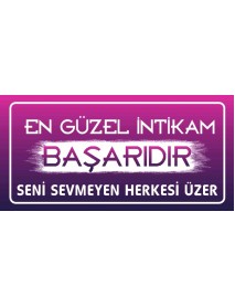 EN GÜZEL İNTİKAM BAŞARIDIR SENİ SEVMEYEN HERKESİ ÜZER AHŞAP PLAKA POSTER - 30