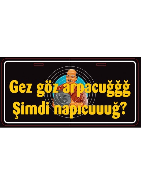 GEZ GÖZ ARACUĞĞĞ AHŞAP PLAKA POSTER - 15