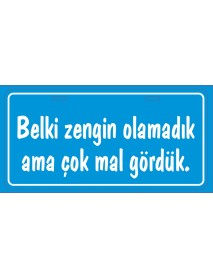 BELKİ ZENGİN OLAMADIK AHŞAP PLAKA POSTER - 21