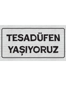 TESADÜFEN YAŞIYORUZ AHŞAP PLAKA POSTER - 61