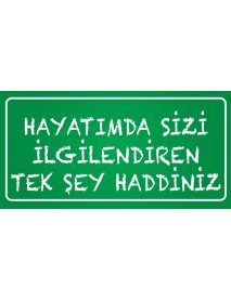 HAYATIM SİZİ İLGİLENDİRMEZ AHŞAP PLAKA POSTER - 69