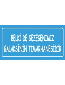 BELKİ DE GEZEGENİMİZ AHŞAP PLAKA POSTER - 84