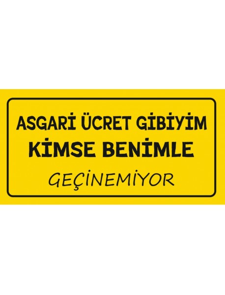 KİMSE BENİMLE GEÇİNEMİYOR AHŞAP PLAKA POSTER - 06