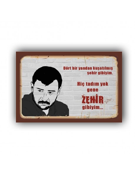 HİÇ TADIM YOK GENE AHŞAP POSTER 20x30cm  - 29