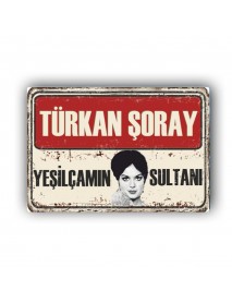 TÜRKAN ŞORAY 18 AHŞAP POSTER 20x30cm  - 33