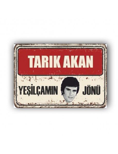 TARIK AKAN 10 AHŞAP POSTER 20x30cm  - 37