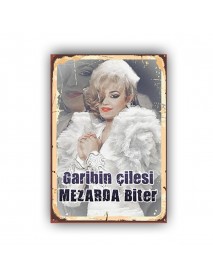 GARİBİN ÇİLESİ 2 AHŞAP POSTER 20x30cm  - 45