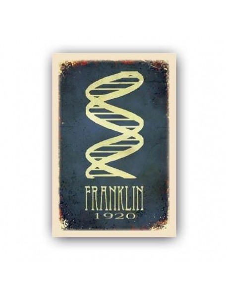 FRANKLIN 1920 AHŞAP POSTER 20x30cm  - 36