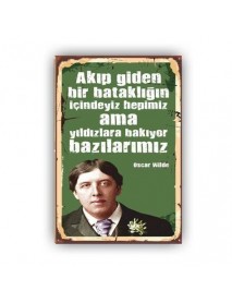 AKIP GİDEN BİR BATAKLIK AHŞAP POSTER 20x30cm  - 63